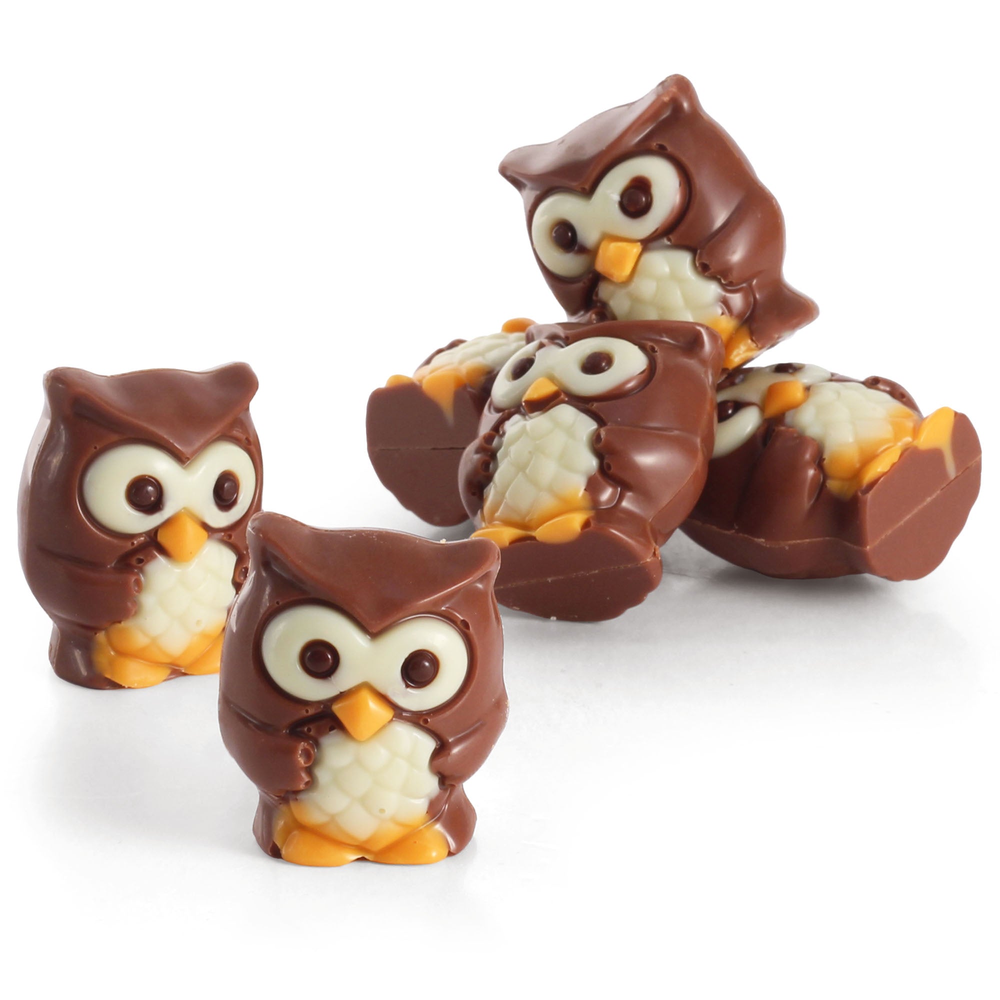 Praline Chocolate Owls