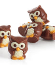 Praline Chocolate Owls